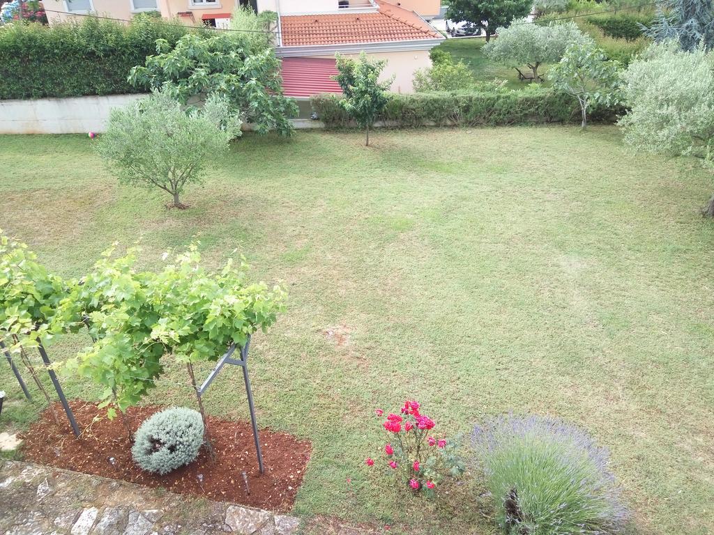 Apartment Asparagus Ровиньско село Экстерьер фото